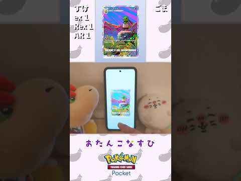 ごまちゃんとポケポケ開封 #62 #ポケモン #ポケポケ開封  #ポケカ開封 #ゲーム実況 #ポケモン #ゲーム #空と海の導き  #アザラシ #AiScReam #aiscream