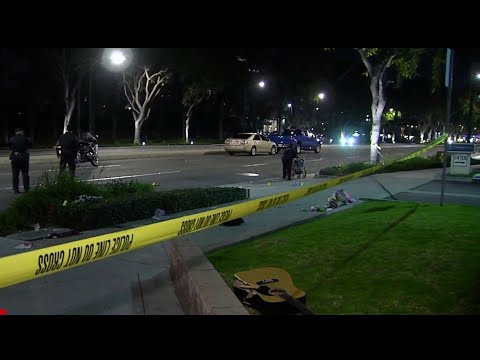 Driver kills woman, injures others in Anaheim