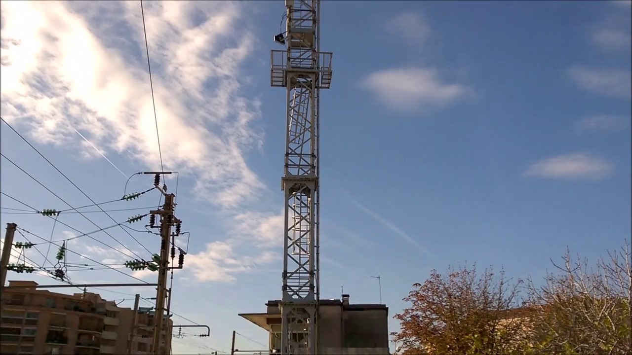 Enorme nid de frelons asiatiques à Nice