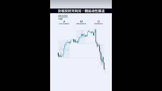 1分鐘帶你快速認識AMD模型 #投資 #ethereum #trading #外匯 #高頻交易 #外匯 #smc  #shortsvideo  #shorts