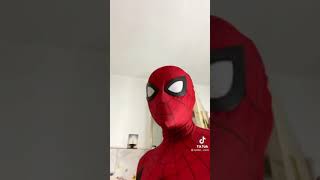 Homem Aranha Fazendo Merda