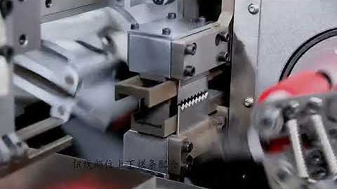 Fully automatic double-head tin dipping machine, which can process 8 strips at a time