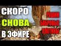 В ожидании нового сезона | Рушим бобровые плотины