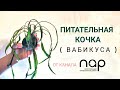 Питательная кочка ( Вабикуса )