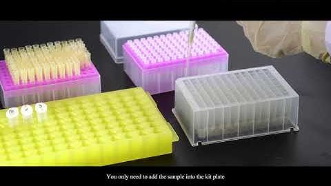 Auto Pure series products