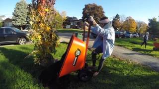 Phi Chi Theta Service Event | Fall 2016