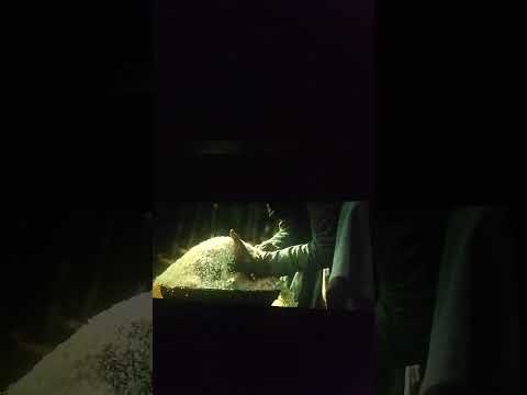 #shorts #shortvideo