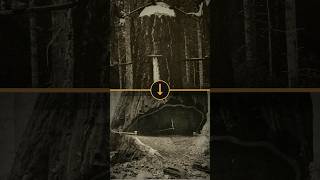 Four Arms, Then One Engine | Before The Machine #Shorts