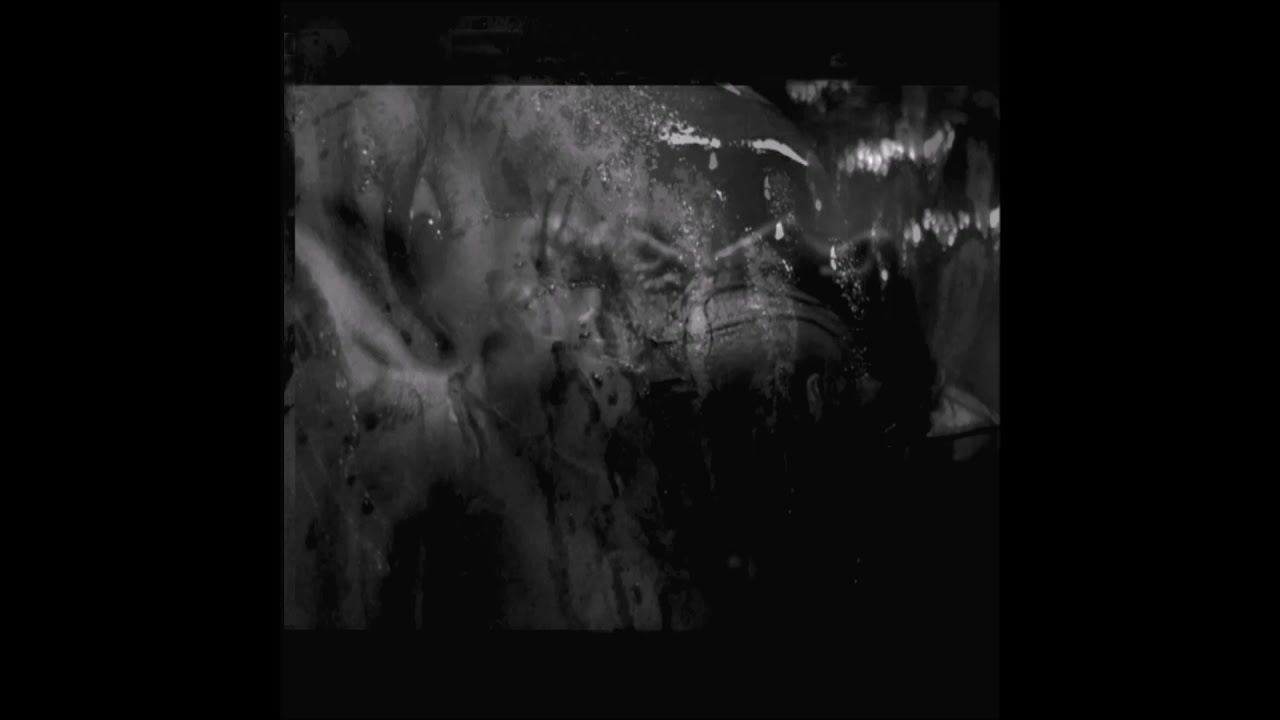 Two While One: The Possession Algorithm (Avant-Garde Classical / Dark Ambient / Horror Soundtrack)