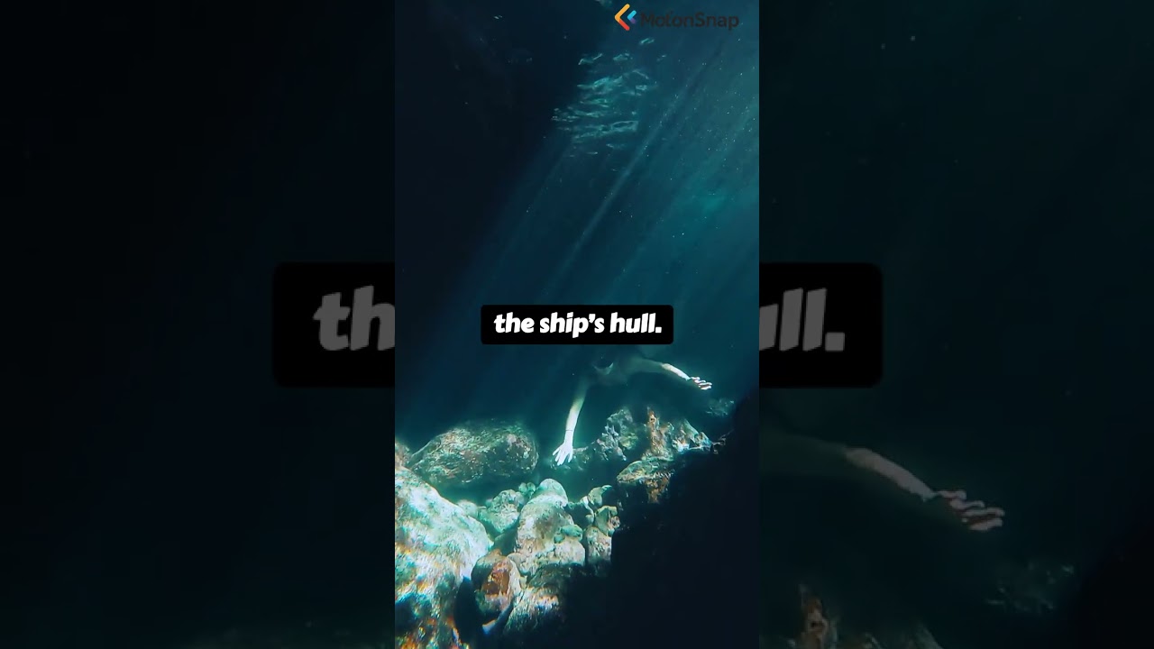 #96. The Sabotaging of the Rainbow Warrior 