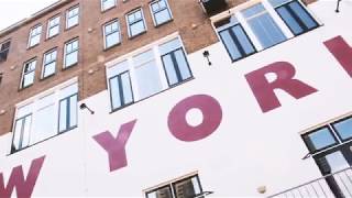 Amsterdam Travel Vlog