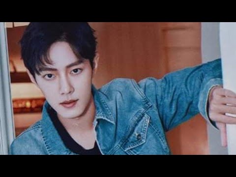 ลิซ่า เสี่ยวจ้าน Superstar สวยหล่อที่สุดในเอเชีย 2019