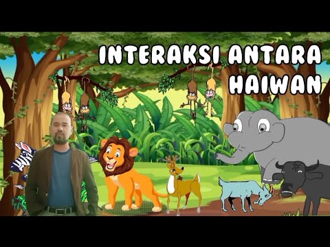 INTERAKSI ANTARA HAIWAN