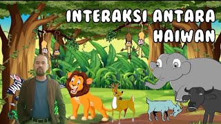 INTERAKSI ANTARA HAIWAN INTERAKSI ANTARA HAIWAN