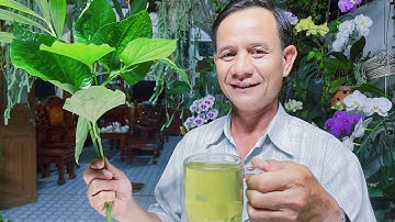 Bài Thuốc Trị Đau Nhứt Xương Khớp Viêm Đa Khớp Dạng Thấp Cực Kì Hiệu Quả