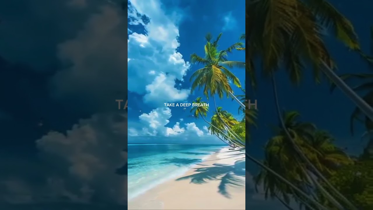 God bless you 🙏🏼✨🌿 