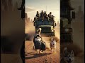 The Moment a Husky Stepped Forward#Husky #K9Instinct #DesertMission #UnexpectedHero #MilitaryStory