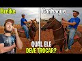 O MOREALE VAI TROCA UM CAVALO NA EGUÁ