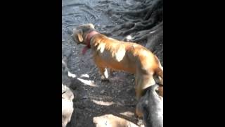 Heavy Redboyboliojeep With Eli Little Jeep 9122015