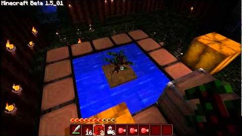 Minecraft costom map: mad scientist escape