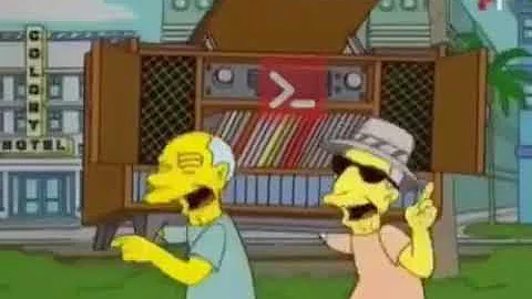Die Simpsons Erika
