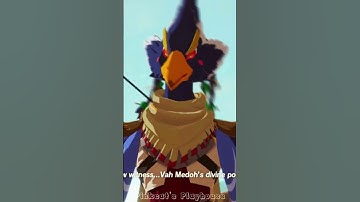 Meet the Age of Calamity Champions! Legend of Zelda Edit#legendofzelda#zelda #zeldatearsofthekingdom