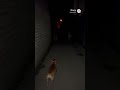 cat vs dog HOWLING REVENGE OF THE KING #petbattle #catsanddogs #catvsdog #The king #Scary