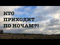 #134. Ночной гость. Фиаско с утеплением птичника. [Жизнь на своей земле]