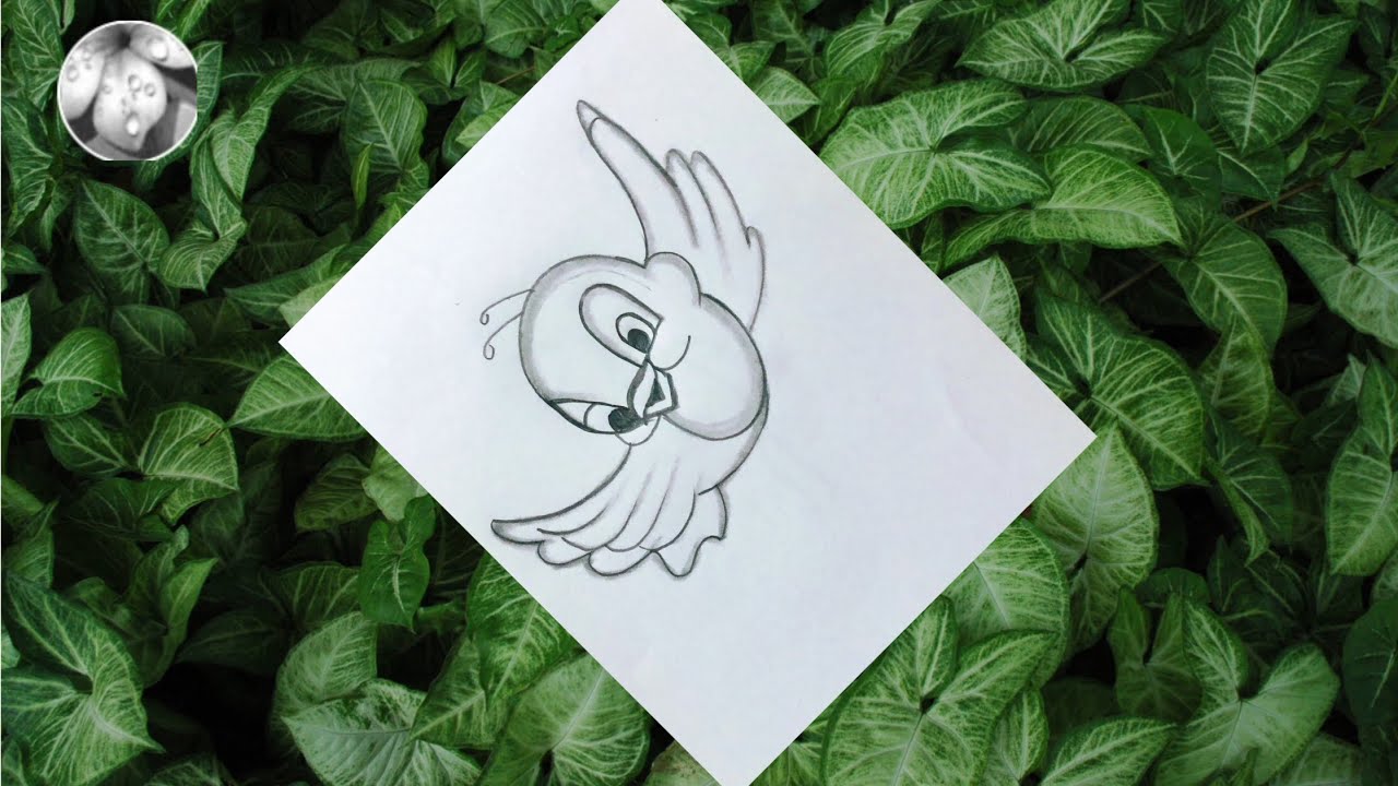 How to draw cute bird easy || easy bird drawing step by step || bird ...