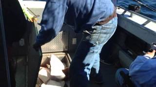 Homer Fishing With Pohls