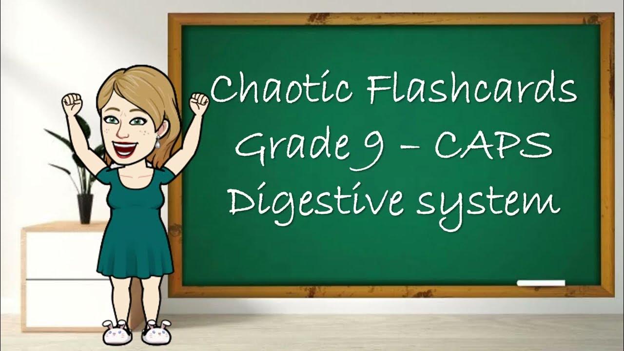 Flashcards Digestive system Grade 9 YouTube