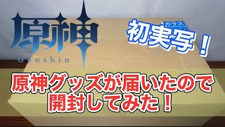 原神グッズが届いたので開封してみた！【初実写】