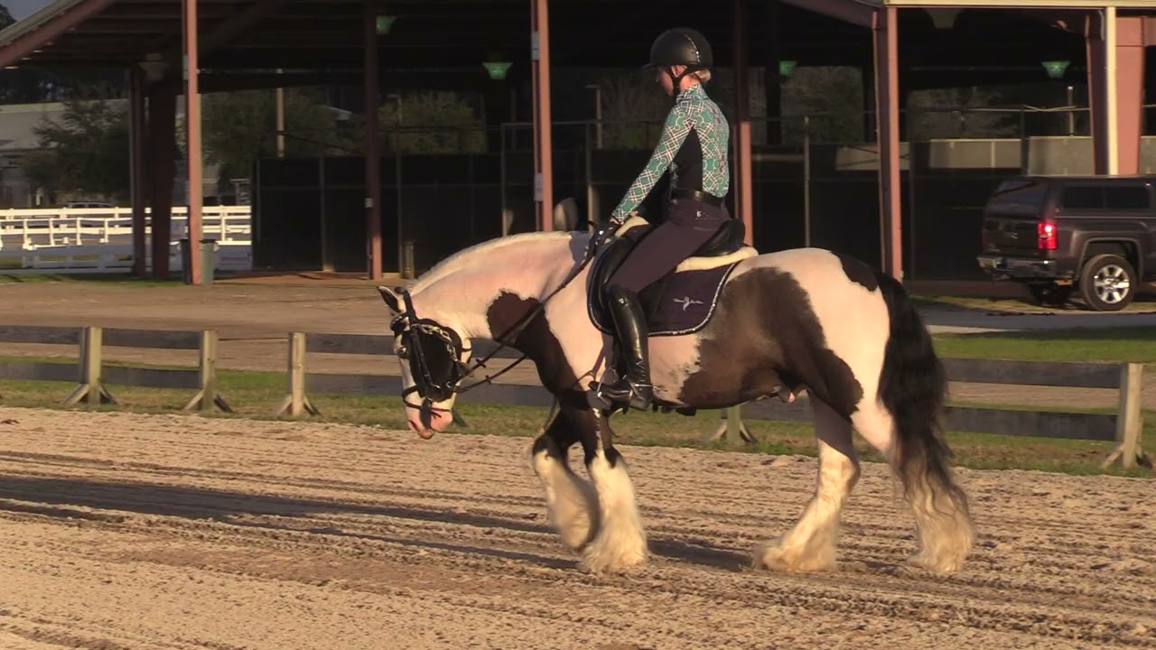 Vanner English Performance Evaluation Test Ride MVI 0237