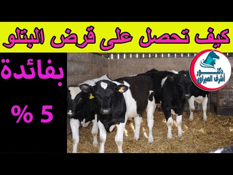 فيديو: كيف تحصل على قرض مزرعة