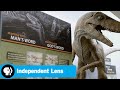 Dinosaurs, Creationism, and Beliefs