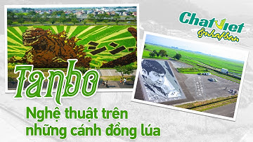 TANBO - NGHỆ THUẬT TRÊN NHỮNG CÁNH ĐỒNG LÚA