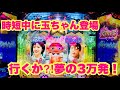 【冬ソナ】行くか3万発⁈プレミア乱舞の神回！　#冬のソナタ
