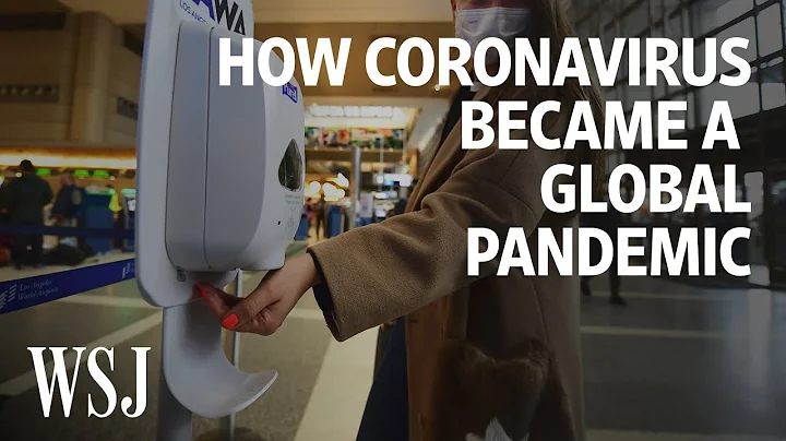 How Coronavirus Became a Global Pandemic | WSJ - DayDayNews