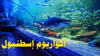 أكواريوم إسطنبول 🦈السباحة مع القروش😨مول أكوا فلوريا وإطلالته الساحرة على البحر Istanbul akvaryum