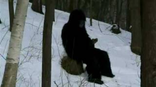 Bone Chilling Bigfoot Footage