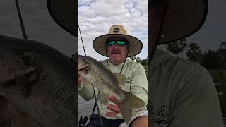 This Is How You Film When You’re Back Camera STOPS Working | Kayak Bass Fishing #shorts