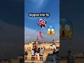 Beautiful kite fly😍|Big kites|😱❤️❤️🪁 #kite #kiteflying #kitelover #fyp