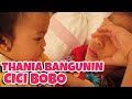 MOP KIDS - THANIA BANGUNIN CICI BOBO