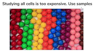 SLLOBS Lecture 08 - Intro to Probability with Coin Tosses
