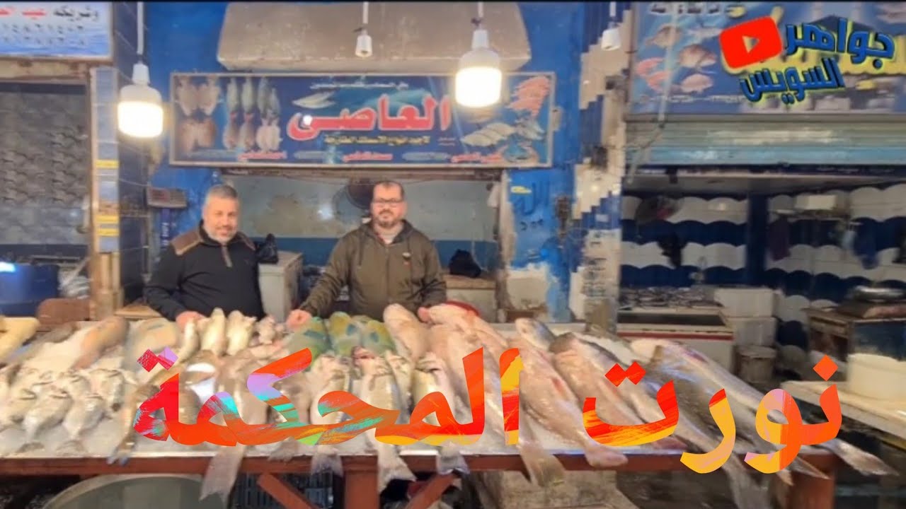 معلومات مهمة وخبايا الأسرار قالها العاصي لأول مرة لكل سمكة هوه ده الفديو المناسب للأكيلة بجد .