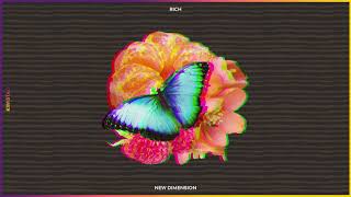 RiCh - New Dimension | Bass House 2020