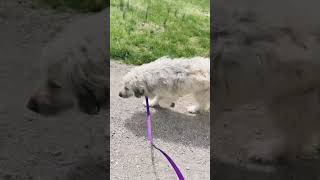 955th day with Violet Tuliza