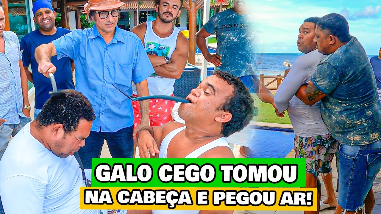 GALO CEGOU TOMOU NA CABEÇA E FOI PRA CIMA