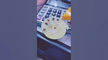 طريق عجيبة لخروجك من الظيق جرب ايش تخسر ولا فلس ببلاش 