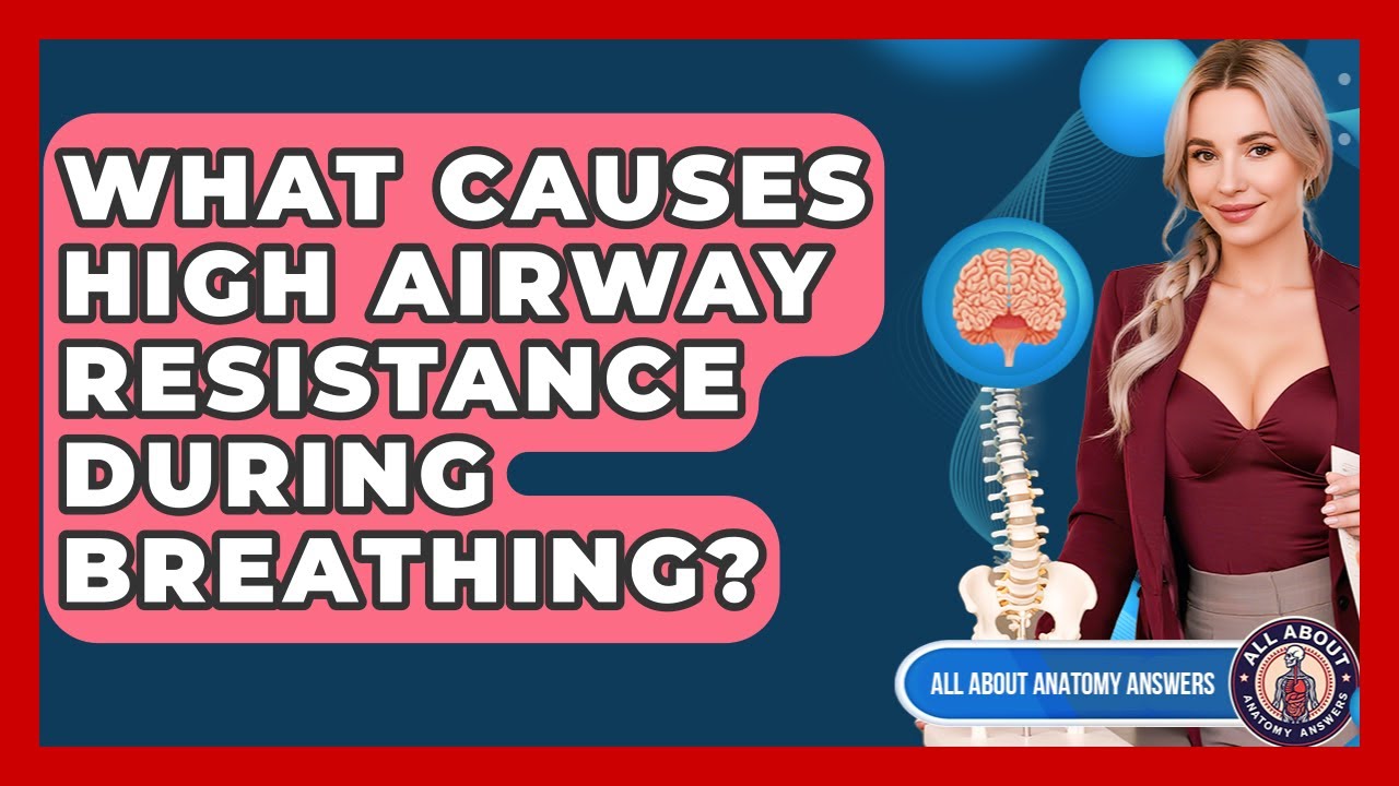 What Causes High Airway Resistance During Breathing? - All About Anatomy Answers